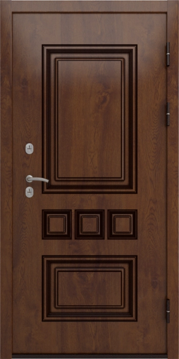 Входная дверь Аура ФЛ-659 (12мм, nussbaum+черная патина винорит) внешняя сторона
